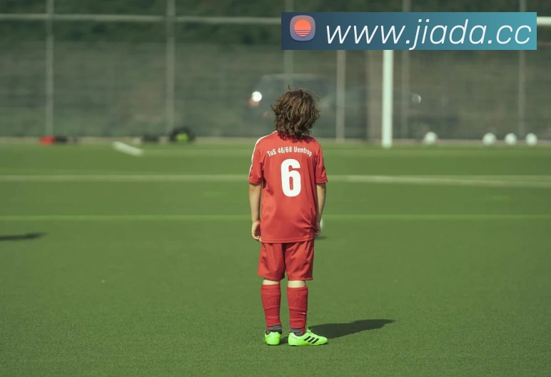 开云线上登录平台入口全站App